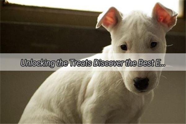 Unlocking the Treats Discover the Best EasytoDigest Meats for Your Canine Companions